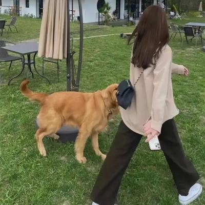 翻转我们的世界